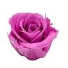 ROSE STABILIZZATE INES X6 LILLA D.4 CM