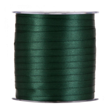 NASTRO RASO GREEN  MM10X100MT