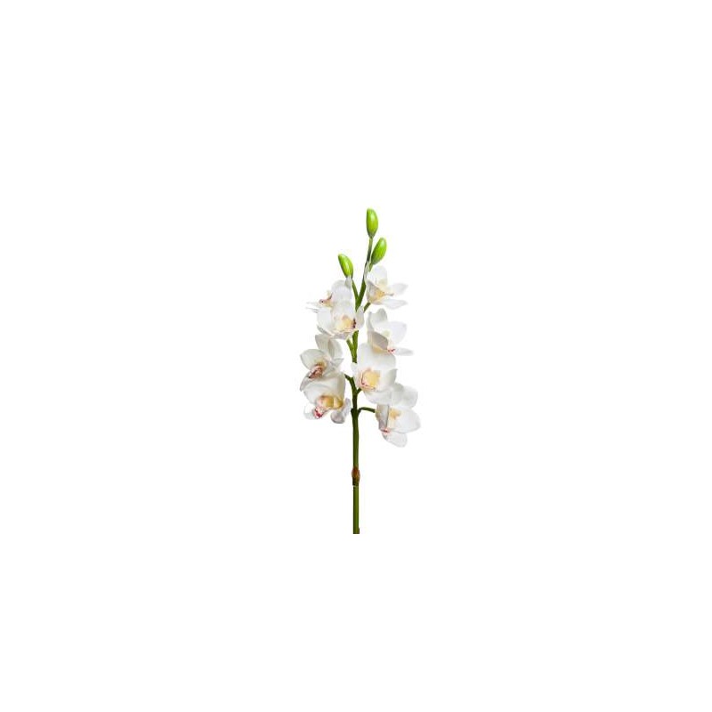 CMBYDIUM 8 FIORI 3 BOCCIOLI CM 77  WHITE