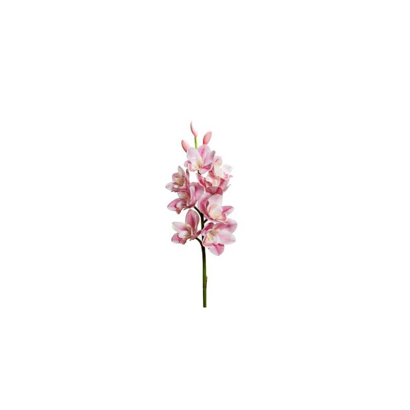 CMBYDIUM 8 FIORI 3 BOCCIOLI CM 77 C.PINK