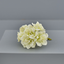 FIORELLINO CON PISTILLI CREMA D.4.5 PZ 6