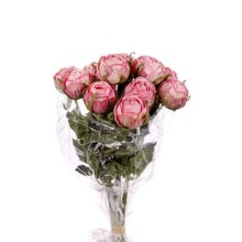 BUNDLE ROSINO ROMANTICO X 12 CM.37 LAVANDER