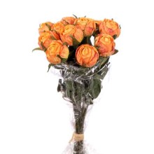 BUNDLE ROSINO ROMANTICO X 12 CM.37 ORANGE