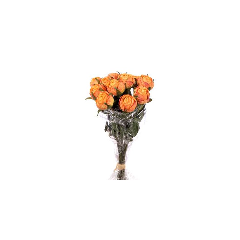 BUNDLE ROSINO ROMANTICO X 12 CM.37 ORANGE
