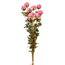 BUNDLE 10 ROSINI CM.78 PINK