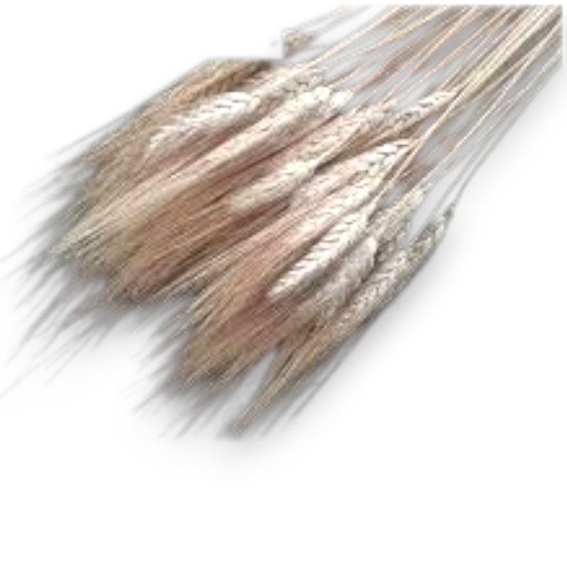 °°°GRANO BAFFO BIONDO GR 400