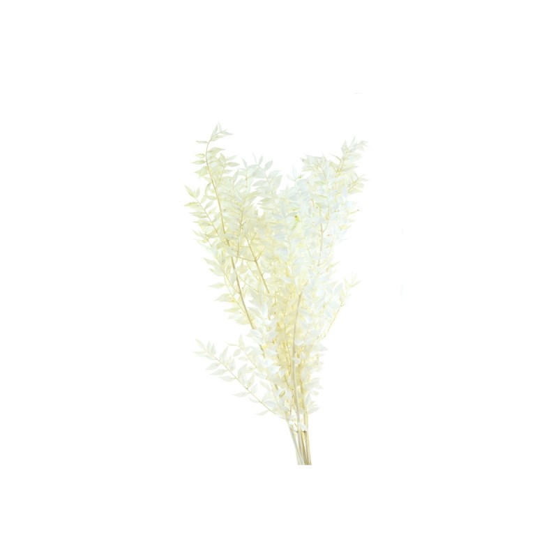 °°°RUSCUS X 150 GR. BIANCO