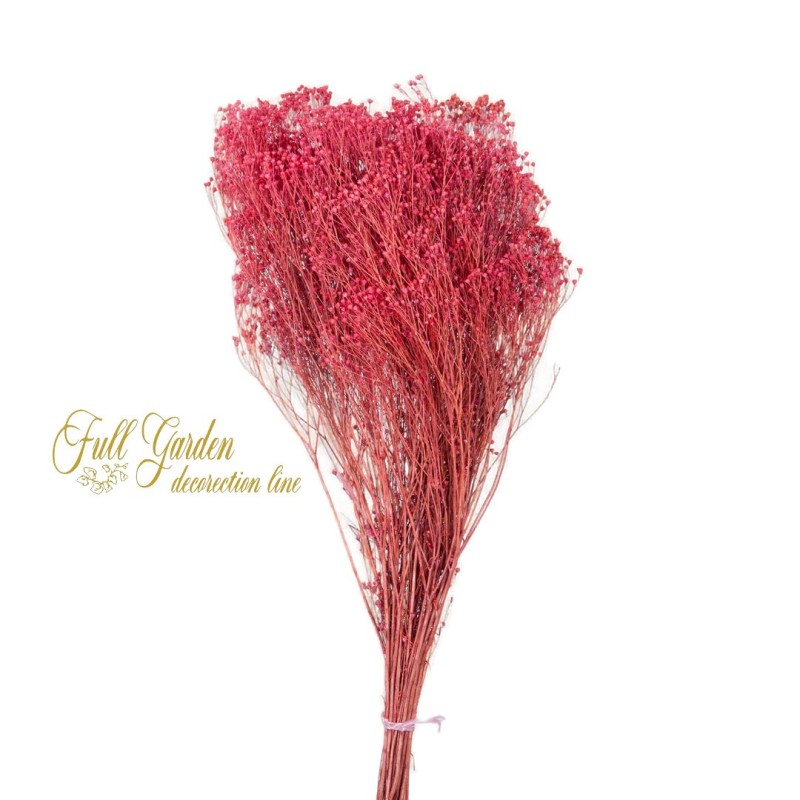 °°°BROOM BLOOM X 100 GR. FLINDER