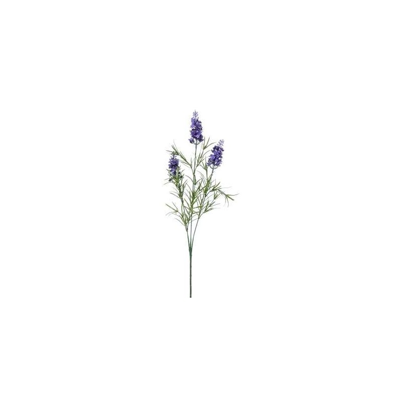 LAVANDA X3 H.CM.60 PURPLE
