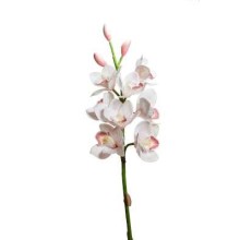 CMBYDIUM 8 FIORI 3 BOCCIOLI CM 77 CREAM