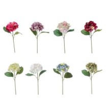 ORTENSIA CM 62 COLORI ASS