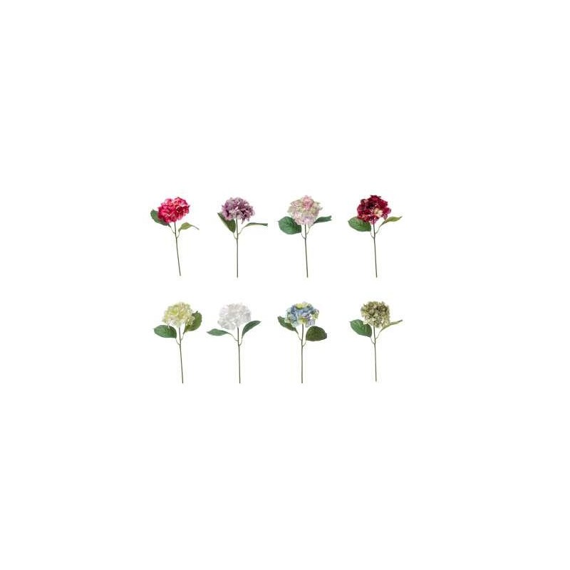 ORTENSIA CM 62 COLORI ASS