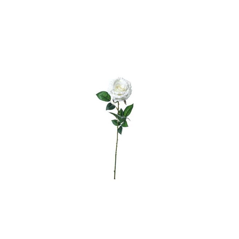 ROSA LAURA  CM.78 WHITE