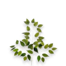 FOGLIA FICUS X 42 H.CM. 56 GREEN