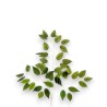FOGLIA FICUS X 42 H.CM. 56 GREEN