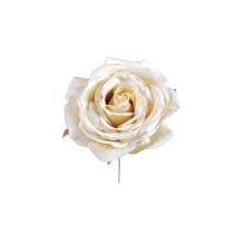 PICK ROSA SIENNA CREMA
