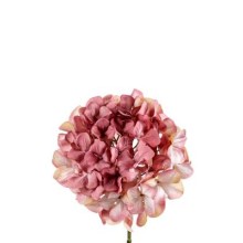 PICK ORTENSIA MAUVE