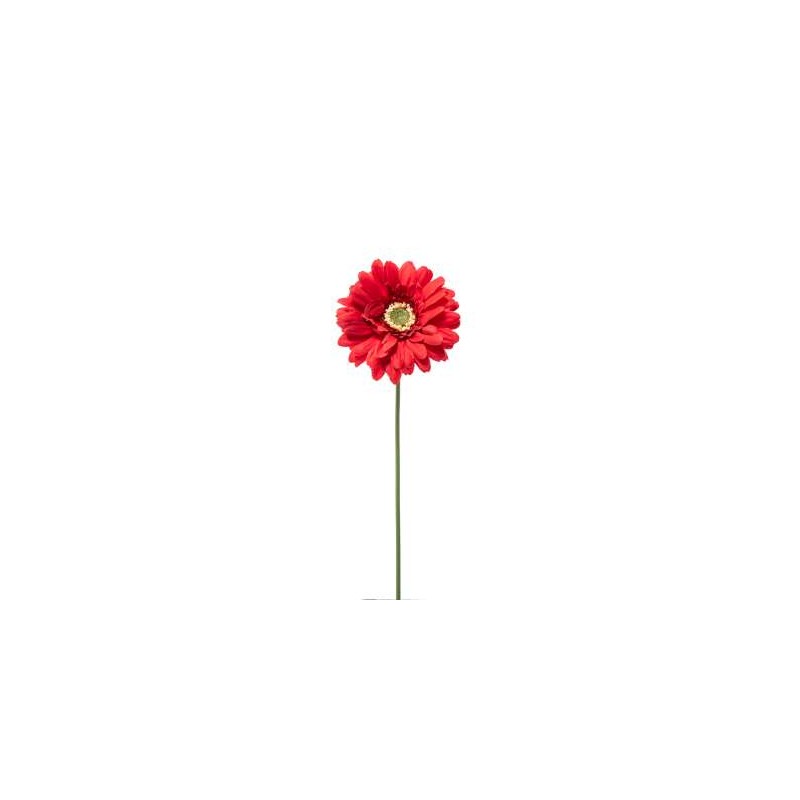 GERBERA SINGOLA CM.49 RED