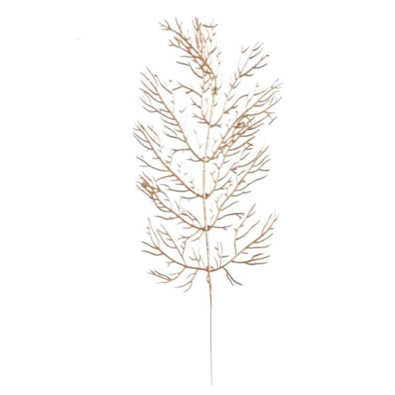 FOGLIA CORALLO  H.CM. 40