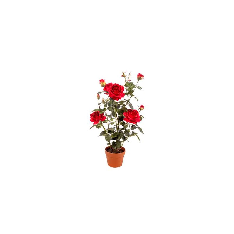 PIANTA ROSA CON VASO CM.82 RED