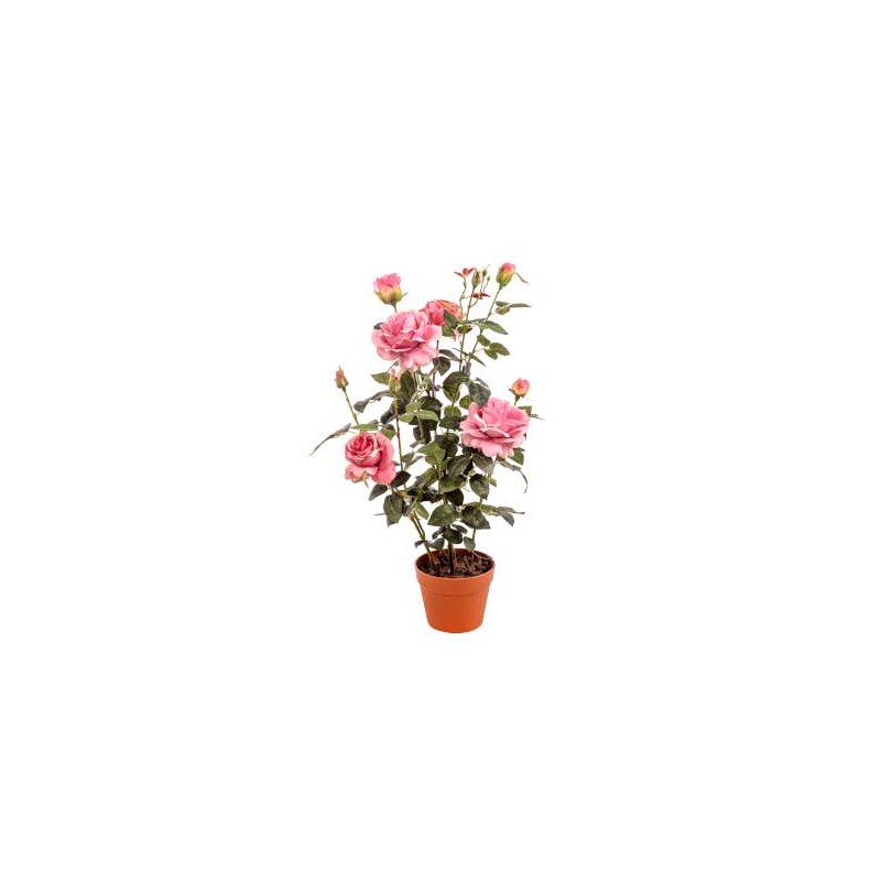 PIANTA ROSA CON VASO CM.82 PINK