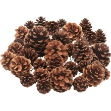 °°°PIGNE NATURAL KG.1