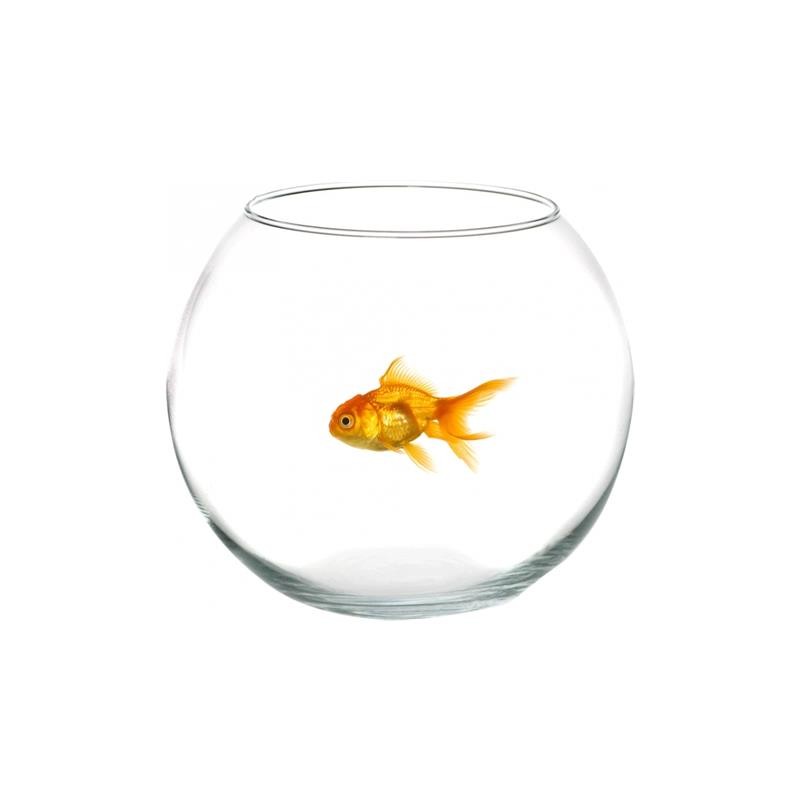 BOCCIA VETRO D.20 CM