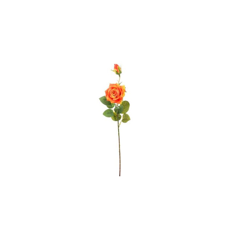 ROSA CON BOCCIOLO ORANGE CM.59