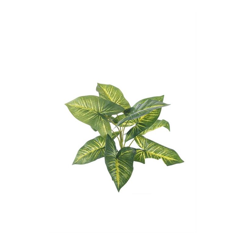 CIUFFO CALADIUM CM.35