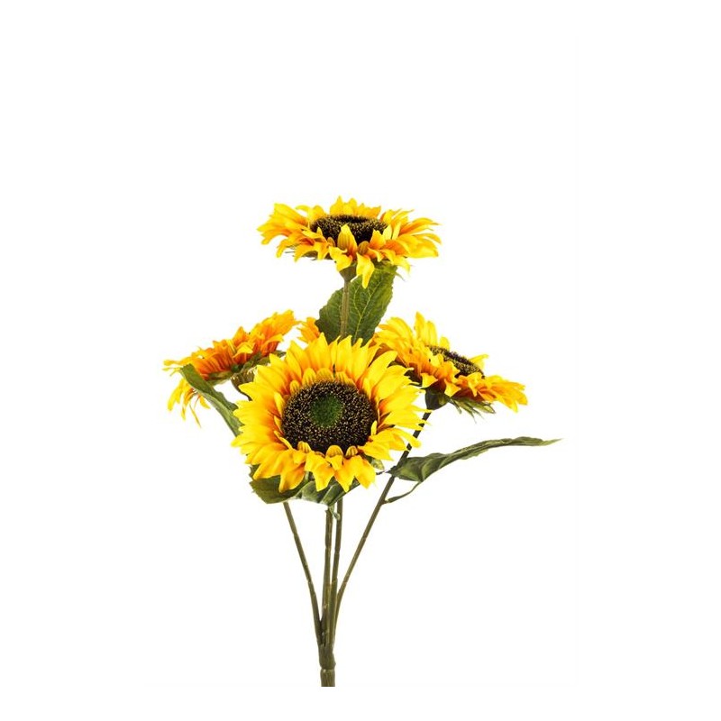 BUSH GIRASOLI X 5 CM.48