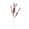 RAMO EUCALIPTO RED CM.100