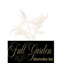 TRALCIO FELCE CM.90 CHAMPAGNE