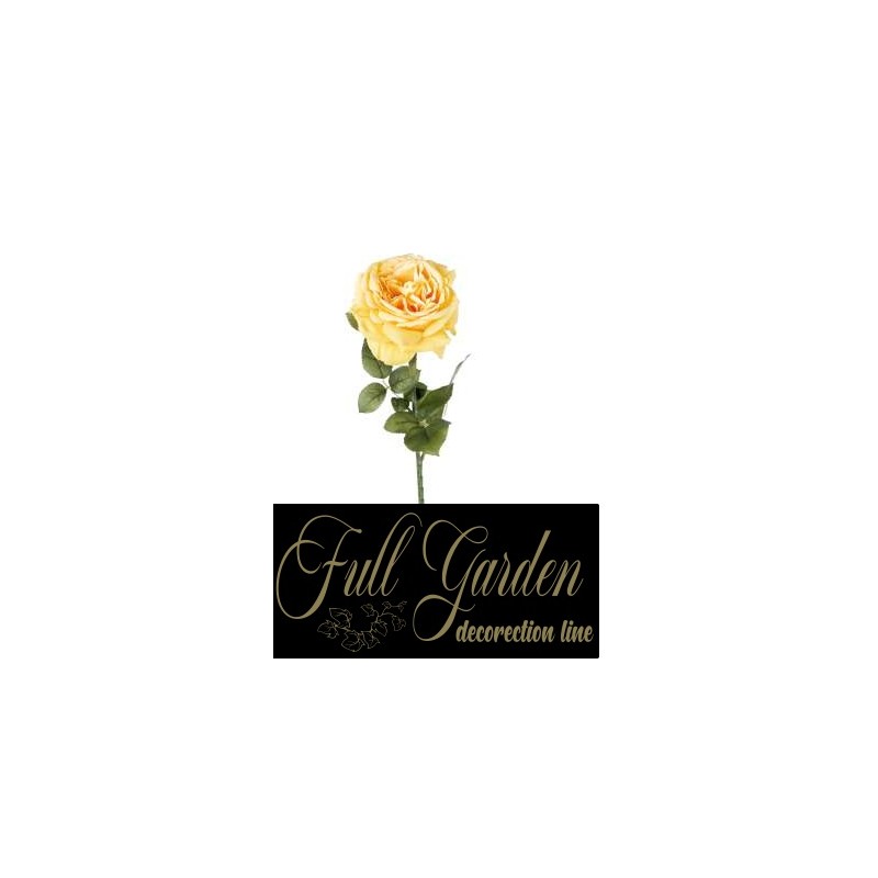 ROSA FUNNY H.CM.67 YELLOW