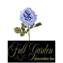 ROSA FUNNY H.CM.67 BLU