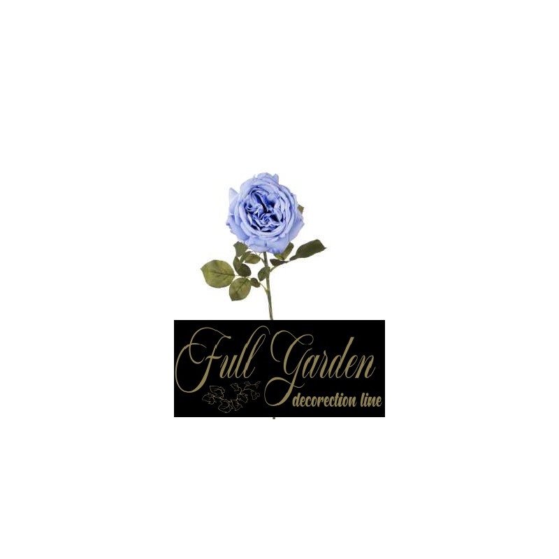 ROSA FUNNY H.CM.67 BLU