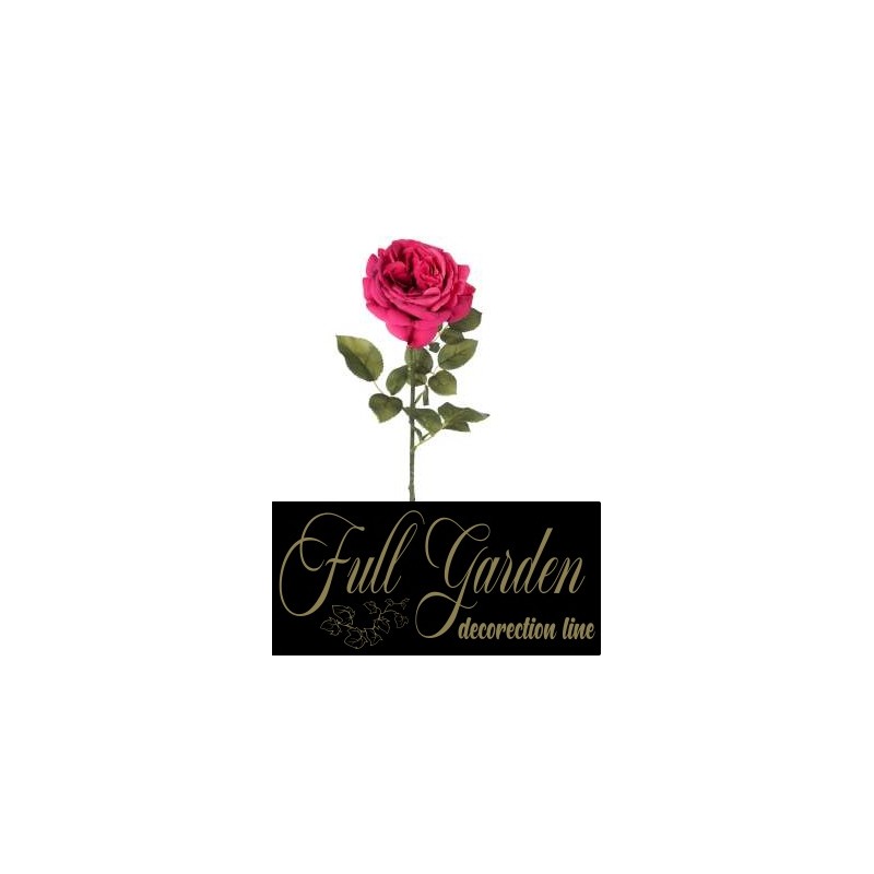 ROSA FUNNY H.CM.67 ROSSA