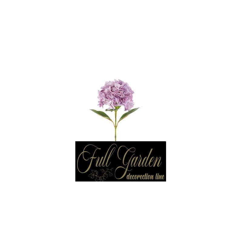 ORTENSIA SINGOLA CM.69 PURPLE