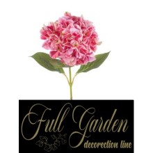 ORTENSIA SINGOLA CM.69 BEAUTY