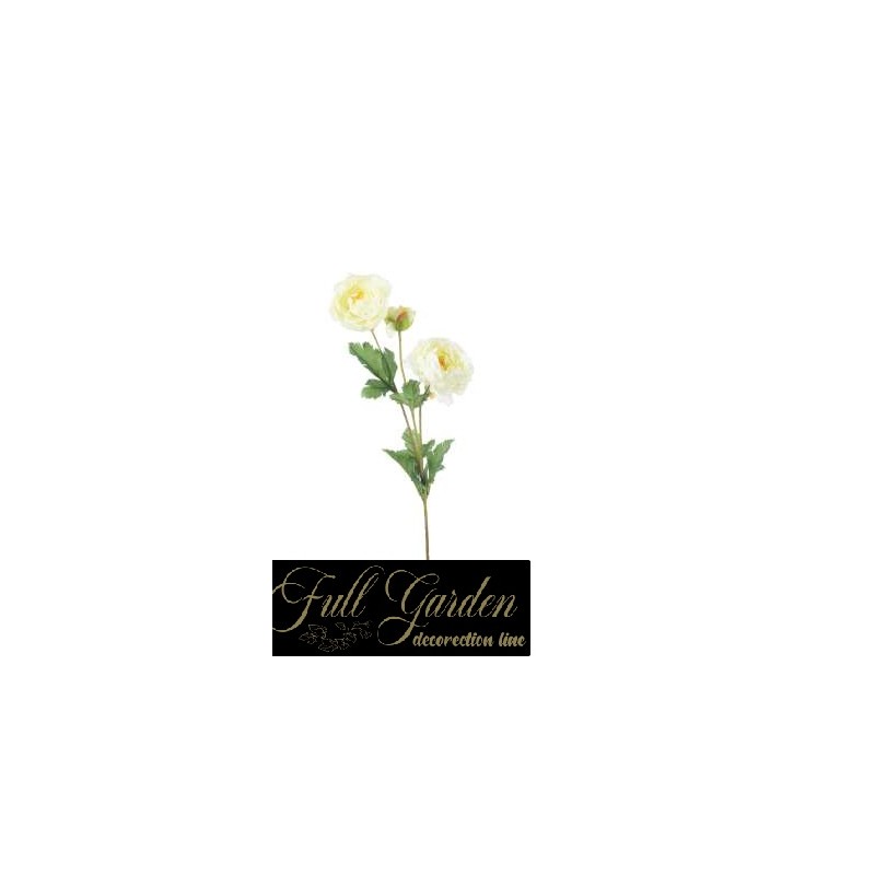 TRALCIO RANUNCOLI CM.66 WHITE