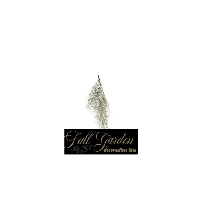 CASCANTE TILLANDSIA CM.90 DARK GREEN