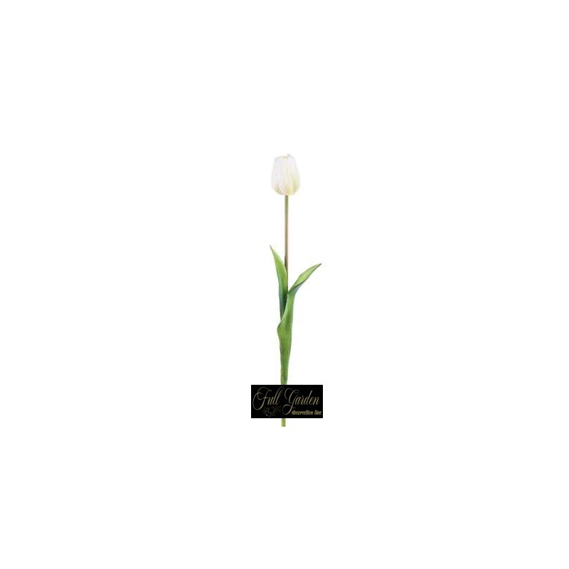 TULIPANO NATURAL TOUCH  H.47 WHTE