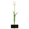 TULIPANO NATURAL TOUCH  H.47 WHTE