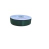 NASTRO DOPPIO RASO MT.50X25MM NEW GREEN