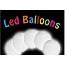 LED WHITE PER PALLONCINO PZ 5