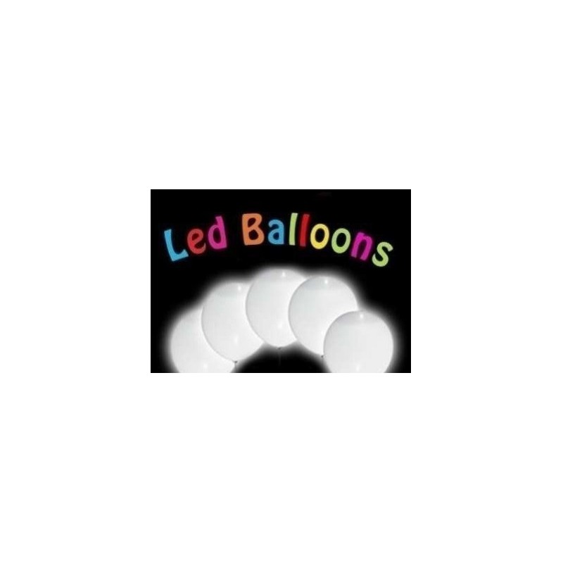 LED WHITE PER PALLONCINO PZ 5