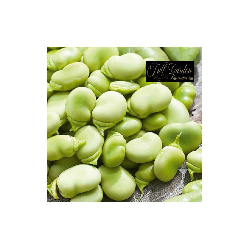 FAVA SUPERAGUADULCE  KG. 1