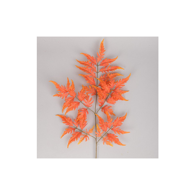 RAMO FOGLIE FELCE CM.71 ORANGE
