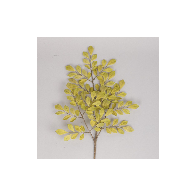 RAMO MINI FICUS 64 CM - MOSS GREEN GR/B