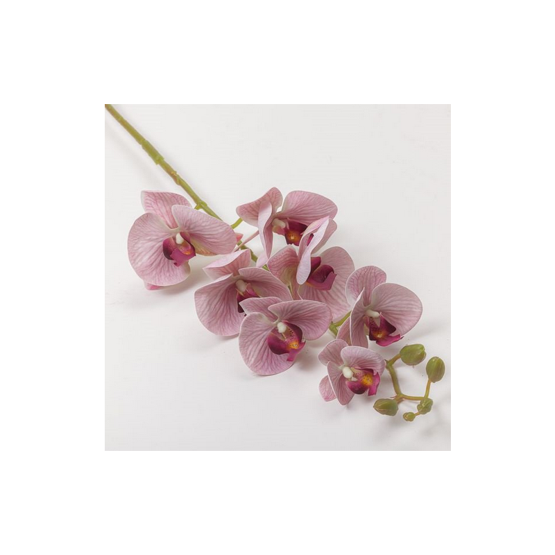 RAMO ORCHIDEA X 7 CM 74 - LAVENDER