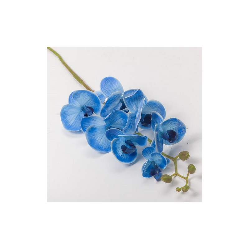 RAMO ORCHIDEA X 7 CM 74 - BLUE